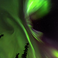 Aurora Vortex