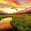 Golden Hour Glory at Eagle River Nature Center